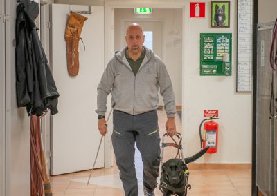 kustmarkens hundtjänst ab avel dressyr tjänstehund ledarhund 01