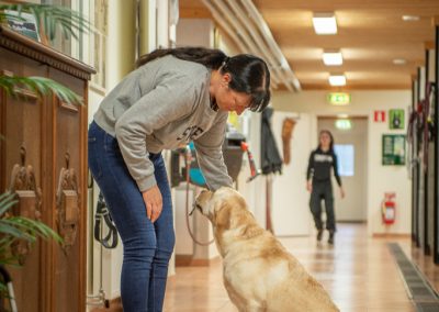 kustmarkens hundtjänst ab avel dressyr tjänstehund ledarhund 01